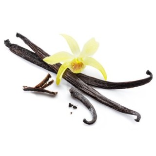 copie de Vanile de Madagascar